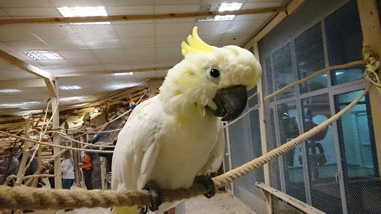 Domek Uphagena. Oddział Muzeum Gdańska